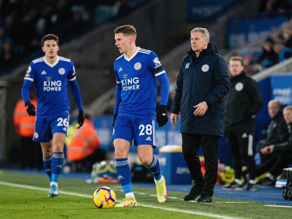 供了更多可 供了更多可